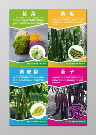 农产品海报蔬菜农业宣传